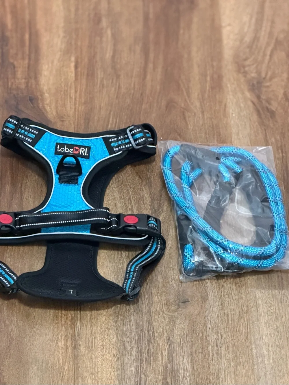 NWT no- pull Dog harness and leash (Large) in blue. Never used. 5 ft. Leash